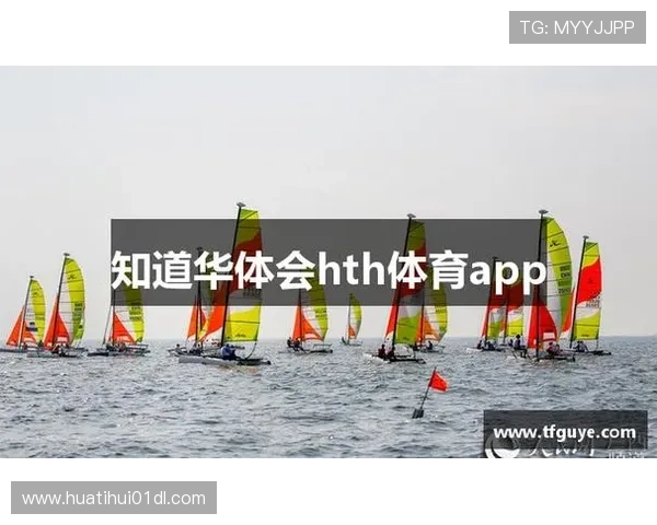 华体会体育在线登录入口用户体验优化方案，提升登录效率和界面友好度的实用建议